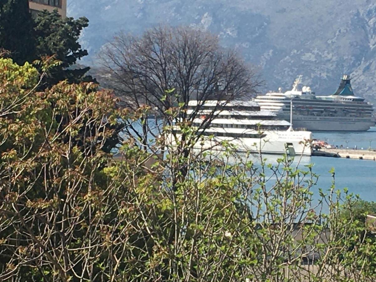 Art House 001 Hotel Kotor Exterior photo